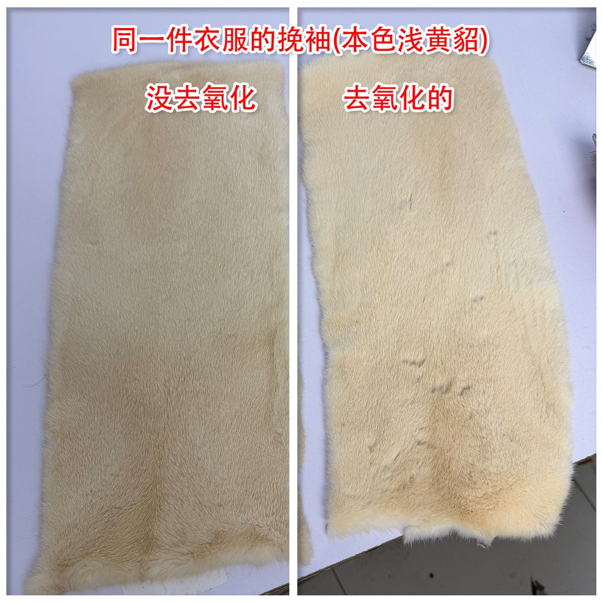 貂皮去氧化修复案例 02