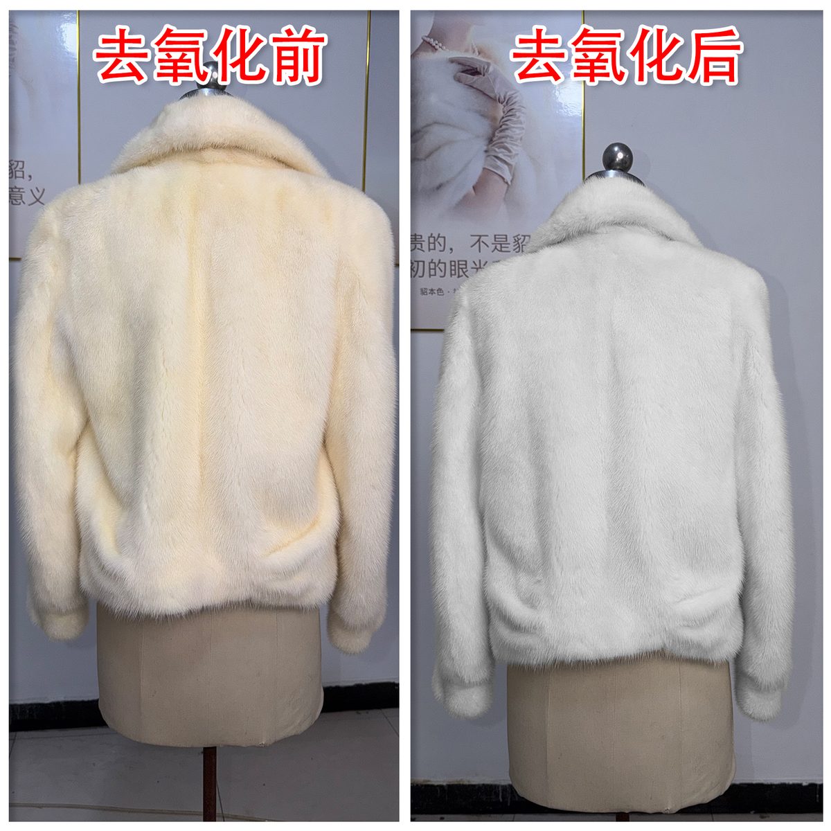 貂皮去氧化修复案例 05