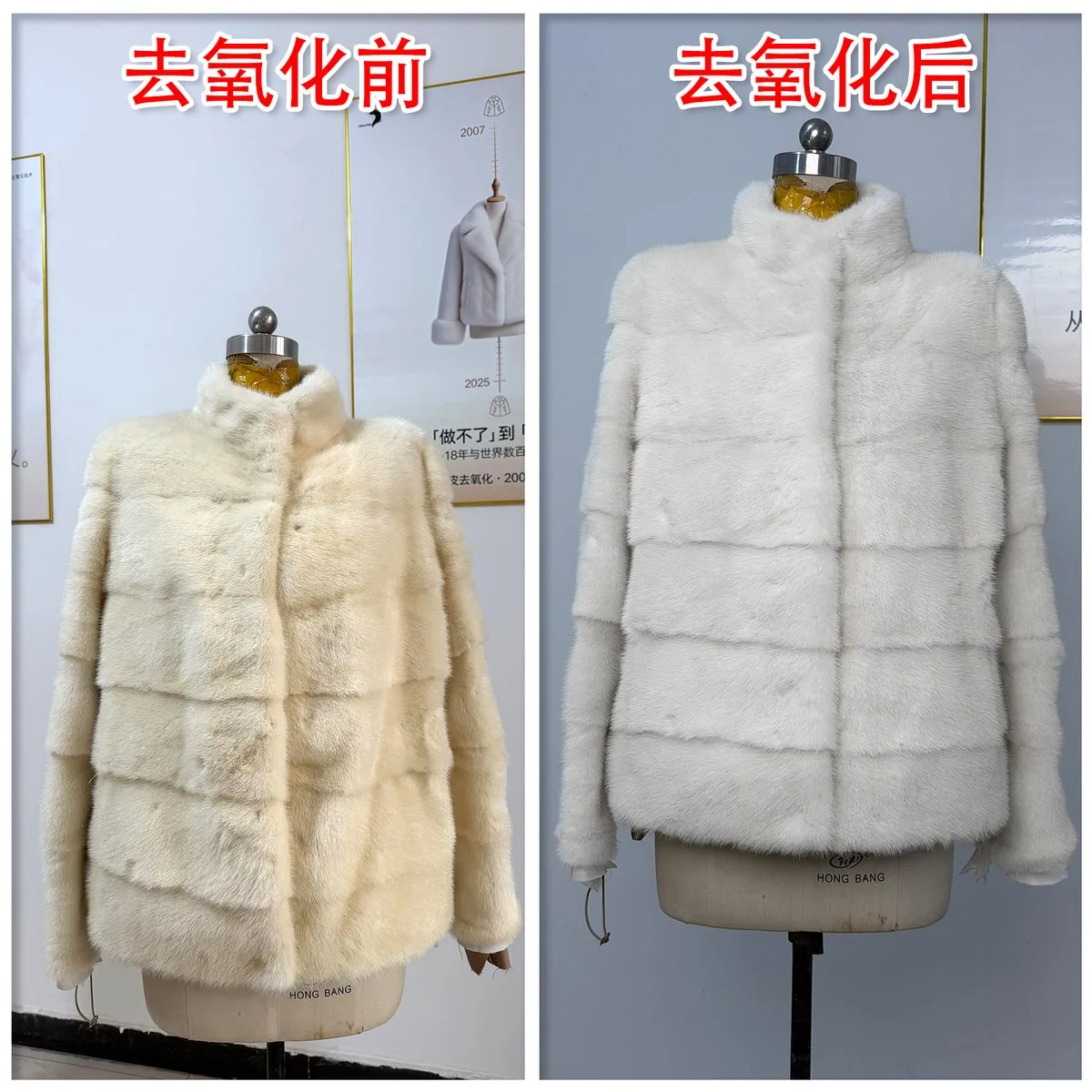 貂皮去氧化修复案例 06